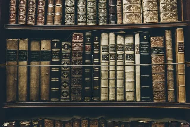 Pourquoi collectionner des objets anciens ? Avantages et conseils pratiques