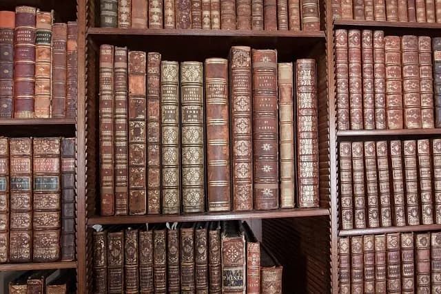 Les objets anciens en cuir : caractéristiques et entretien