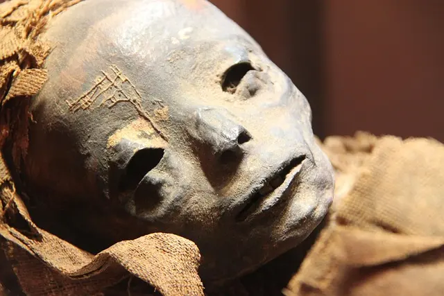 Les objets anciens : un héritage culturel à préserver