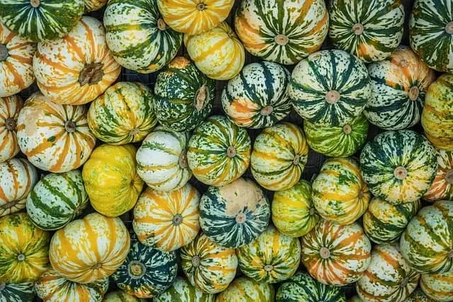 Les objets anciens les plus étranges à découvrir