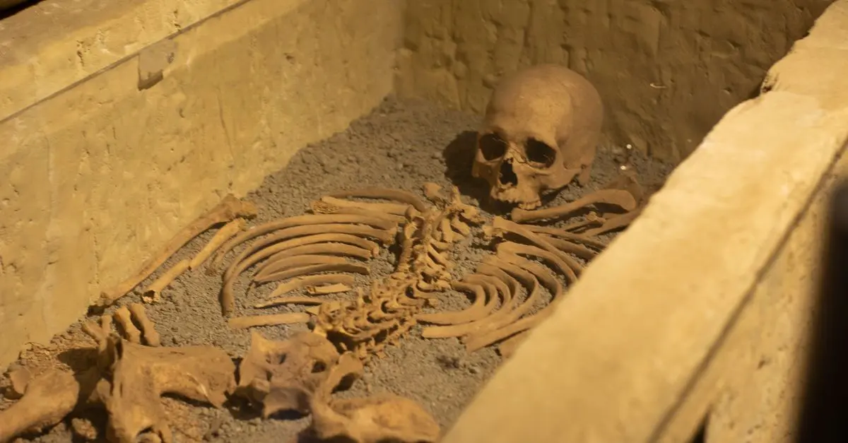 Les mystères des objets anciens : déchiffrer leur histoire