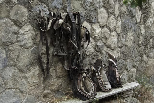 Les 5 objets anciens incontournables pour votre collection