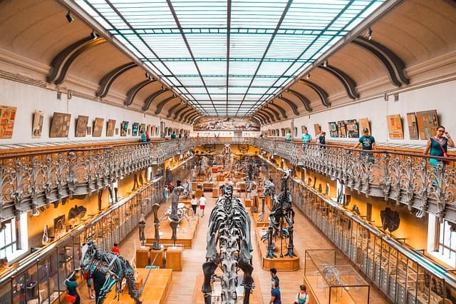 Les objets anciens les plus mystérieux et leurs histoires