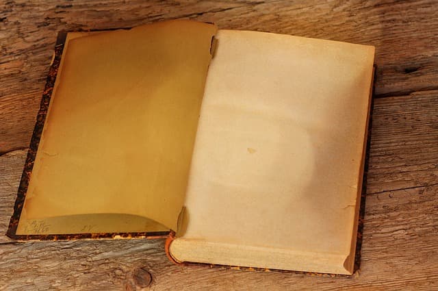 Comment évaluer la valeur d'un objet ancien : Guide complet